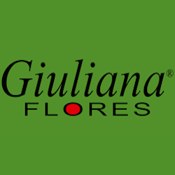 18% OFF em Produtos Vendidos pela Giuliana Flores