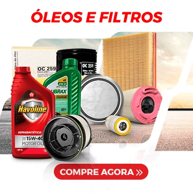 óleos e Filtros com -12%OFF no PIX na Dpaschoal