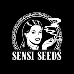 Black Friday Alert! Sensi Seeds já começou: 40% a 50% de desconto em todo o site durante o restante de novembro.